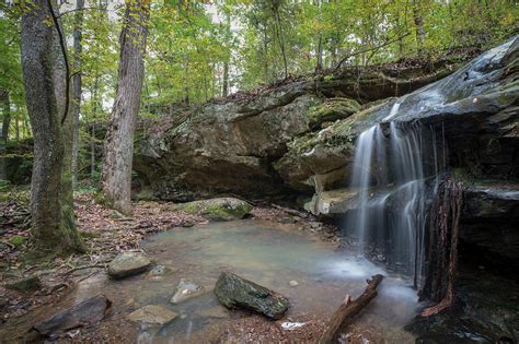 Pennyrile forest state park - Pennyrile Forest Trail. Hard • 3.6 (42) Pennyrile Forest State Resort Park. Photos (41) Directions. Print/PDF map. Length 13.0 miElevation gain 1,801 ftRoute type …